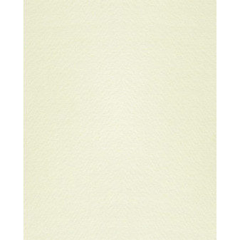 Grafický papír Modigl 72x101cm, světle béžový, 260g